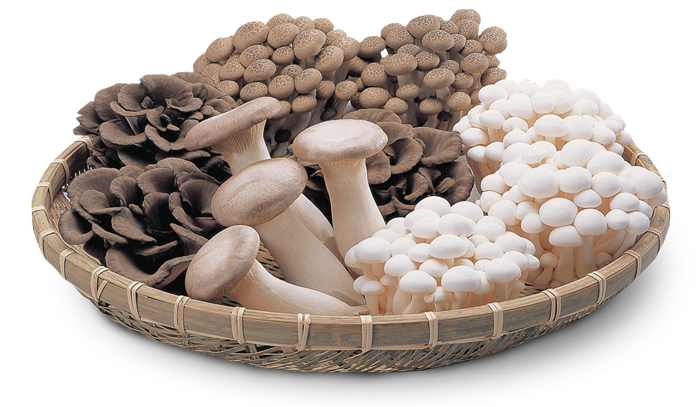 Japanese Mushrooms